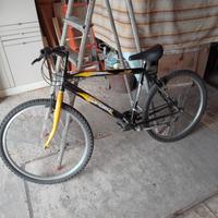 bicicletta 