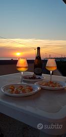 Torre suda gallipoli appartamento sul mare