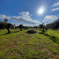 Carovigno terreno con progetto approvato