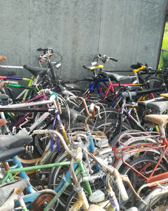 Bici usate