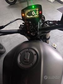 Benelli leoncino 800 