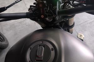 Benelli leoncino 800 