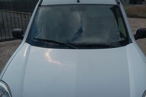 kangoo 