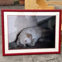 Cornice lavorata 85x66