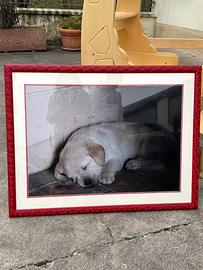 Cornice lavorata 85x66