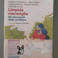 "LIMPIDA MERAVIGLIA", Gli strumenti della scrittur