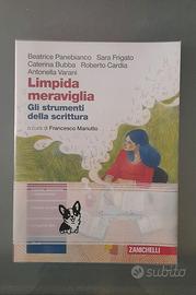 "LIMPIDA MERAVIGLIA", Gli strumenti della scrittur