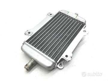 PIAGGIO VESPA GTS IE ABS KM ZERO 300 RADIATORE SIN