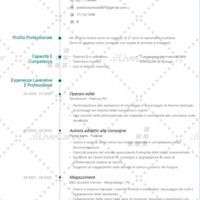 Magazziniere,autista