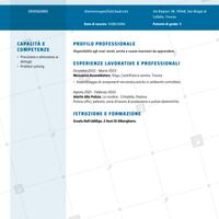 Addetta alle pulizie o altro