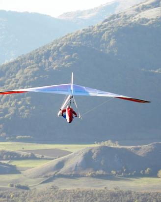 deltaplano wills wing sport 2 large