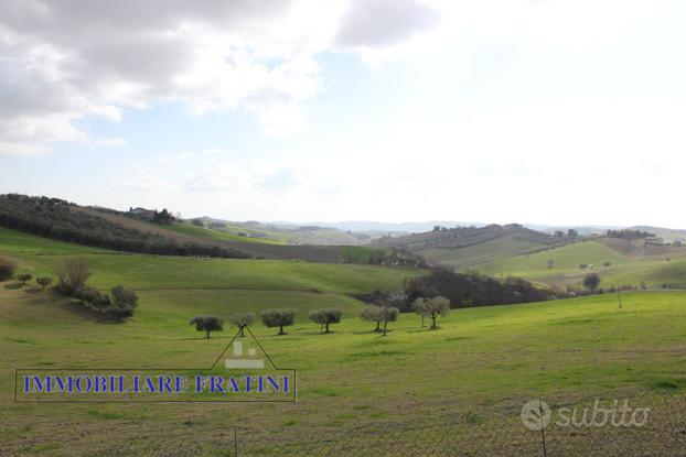 Terreno Agricolo - Appignano del Tronto