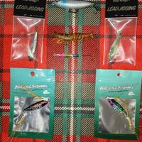 WTD JIG CRANK E GAMBERO SEIKA RAPTURE IGNESTI