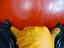 Immagine 8