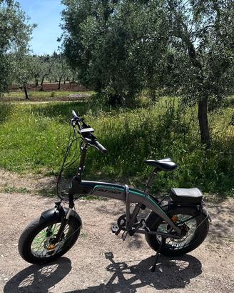 Bici elettrica