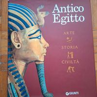 Libro su arte, storia e civiltà dell'antico Egitto