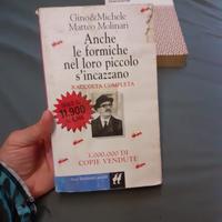 anche le formiche nel loro piccolo si incazzano Gi