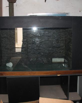 Acquario