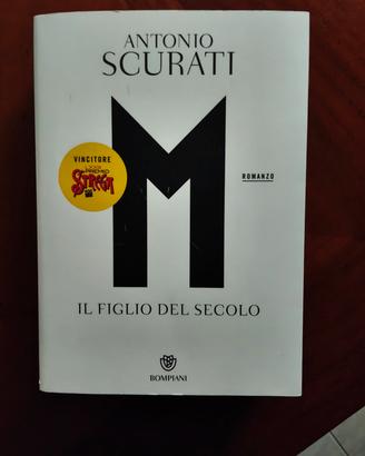 libro romanzo