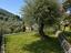 Immagine 18