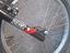 Immagine 2