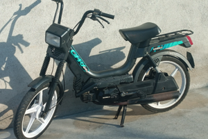 Garelli gay (nave dei pirati)