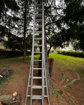 Scala a sfilo professionale 14 gradini .