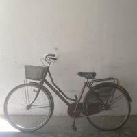 Bici Elegante bordeaux da personalizzare