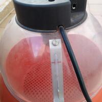 Incubatrice covatutto