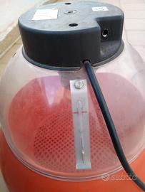 Incubatrice covatutto