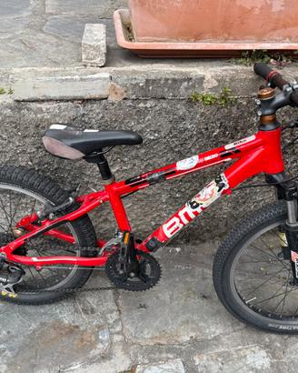 Bicicletta bambino 20x2.10