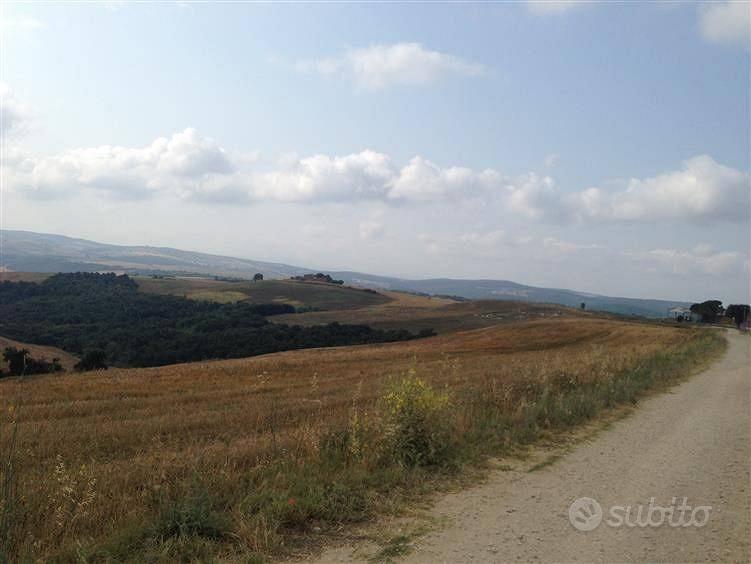 Terreno di 42340 m² a Tuscania - Vista 2