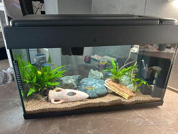 Acquario 90L