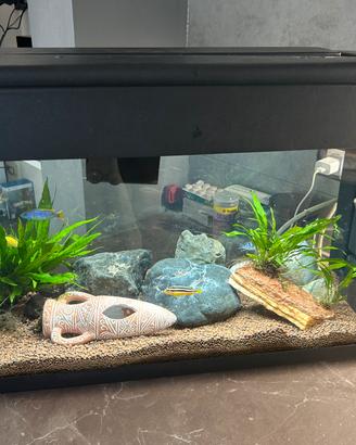 Acquario 90L