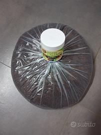 terraio fibra cocco e calcio