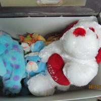 Pelouche e pista elettrica