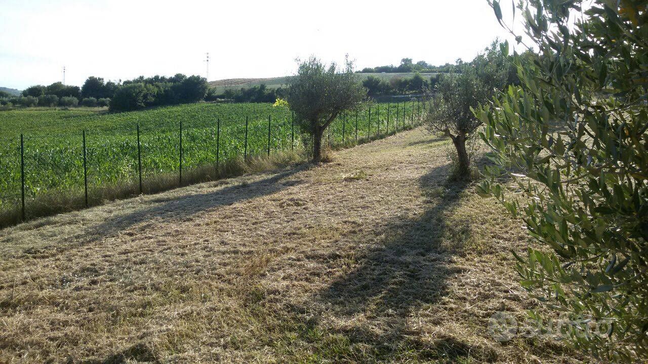 Rustico - Campli - Vista 5