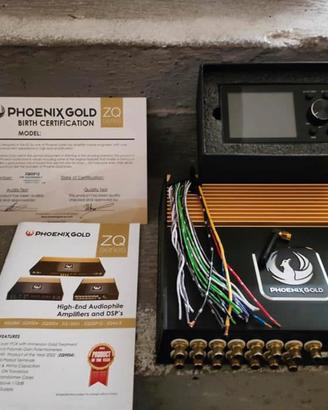 Processore DSP Phoenix Gold ZQDSP12