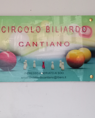 Biliardo da Snooker