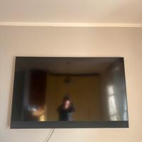 Tv 65 pollici di sky