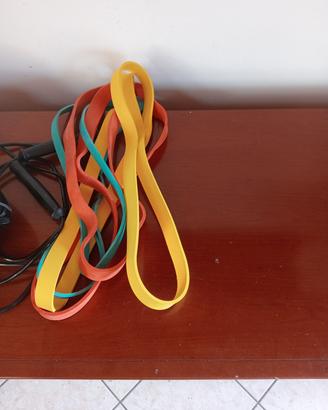 elastici diverse tensioni di forza
