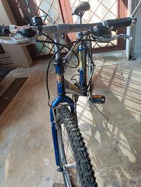 bicicletta Bianchi 750 RS