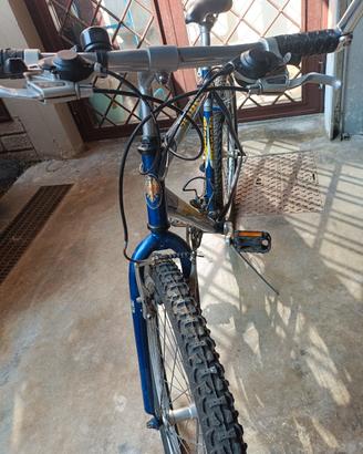 bicicletta Bianchi 750 RS