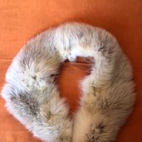 Collo a scialle di volpe