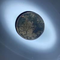 Moneta 5 centesimi Vittorio Emanuele II