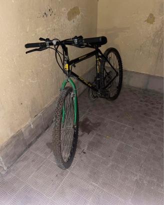 Bici alpine 26