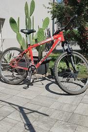 MTB sospensione anteriore 
