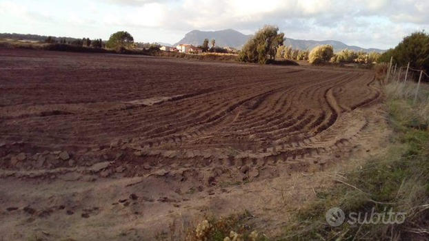 Terreno irriguo pinaggiante 2 ettari alghero