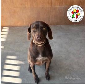 BRIGITTE hai un musino splendido