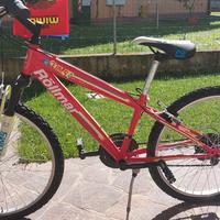 Bicicletta ragazzo/ragazza